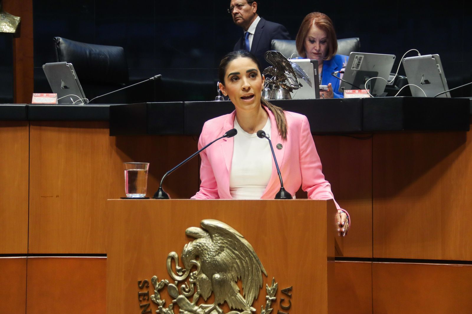 Teresa Ealy habla de la educación pública