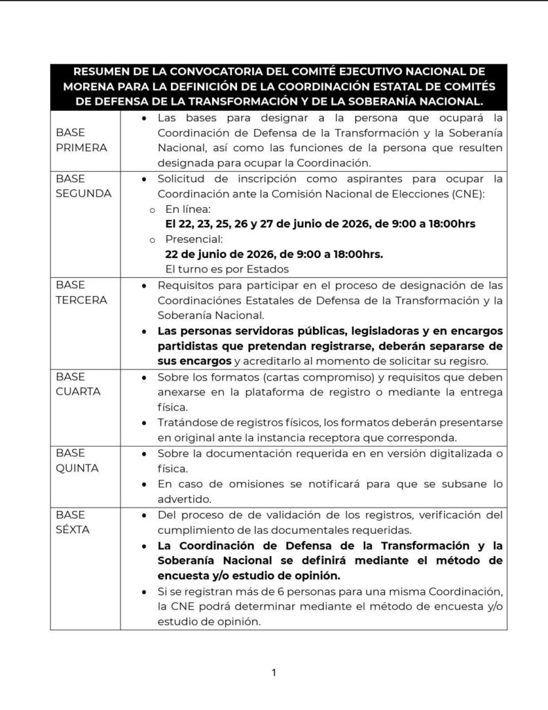 candidaturas Morena