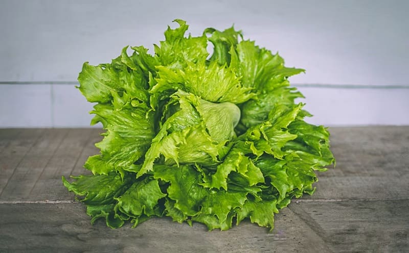 El señalamiento a la lechuga mexicana