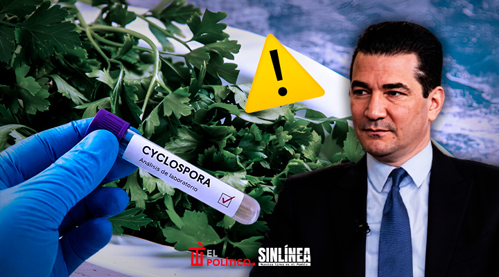 EU va contra cilantro y perejil mexicano por diarrea explosiva