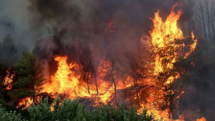 Incendios forestales activos en Canadá