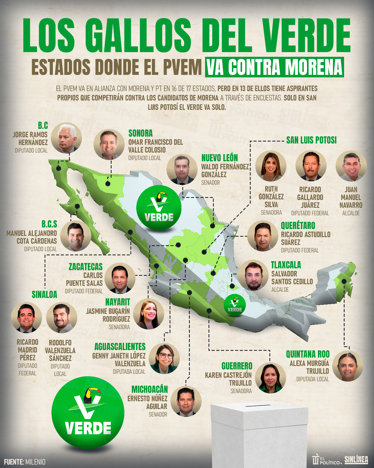 Infografía 13 estados donde el PVEM competirá contra Morena 