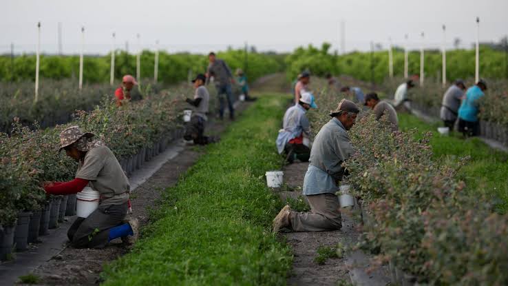 Juez impide que Trump retire permisos de trabajo a migrantes