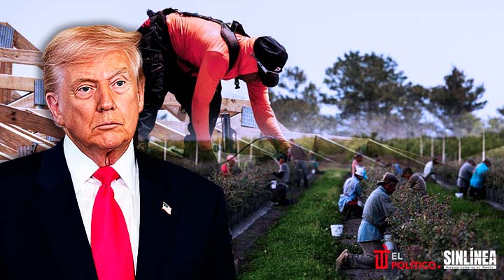 Juez impide que Trump retire permisos de trabajo a migrantes