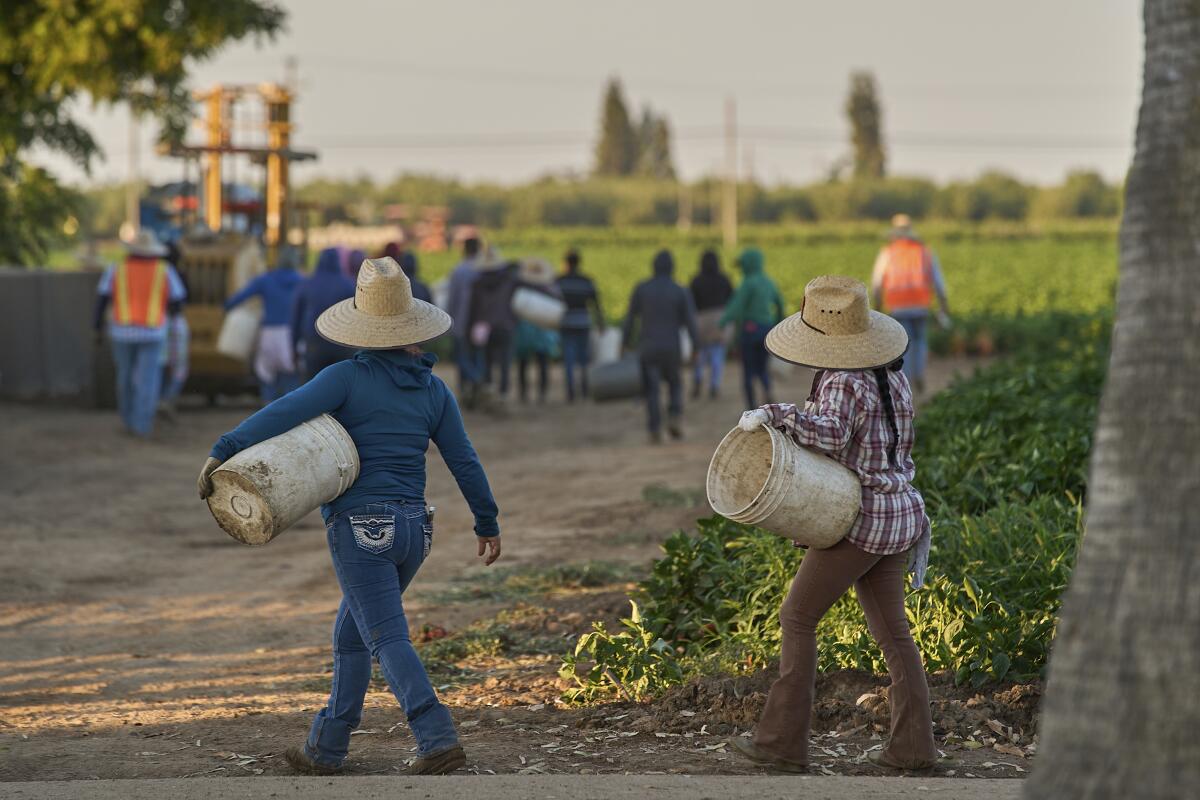 Juez impide que Trump retire permisos de trabajo a migrantes