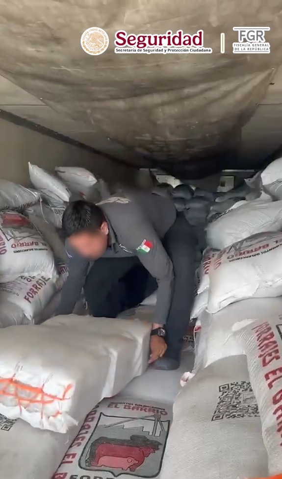 Golpe al narcotráfico: aseguran más de 3 toneladas de metanfetamina en Sonora