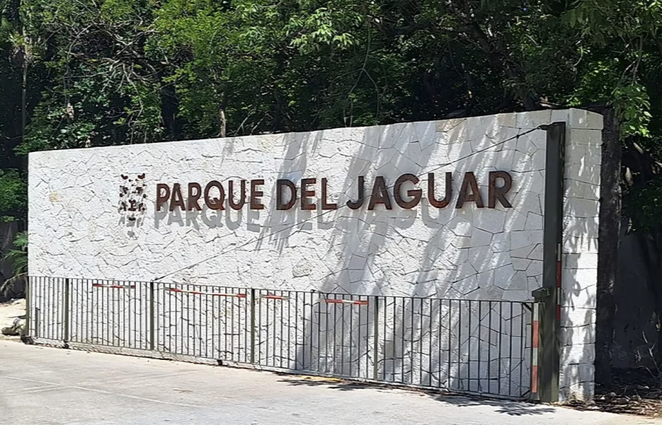 Sheinbaum anuncia entrada gratuita a Parque del Jaguar